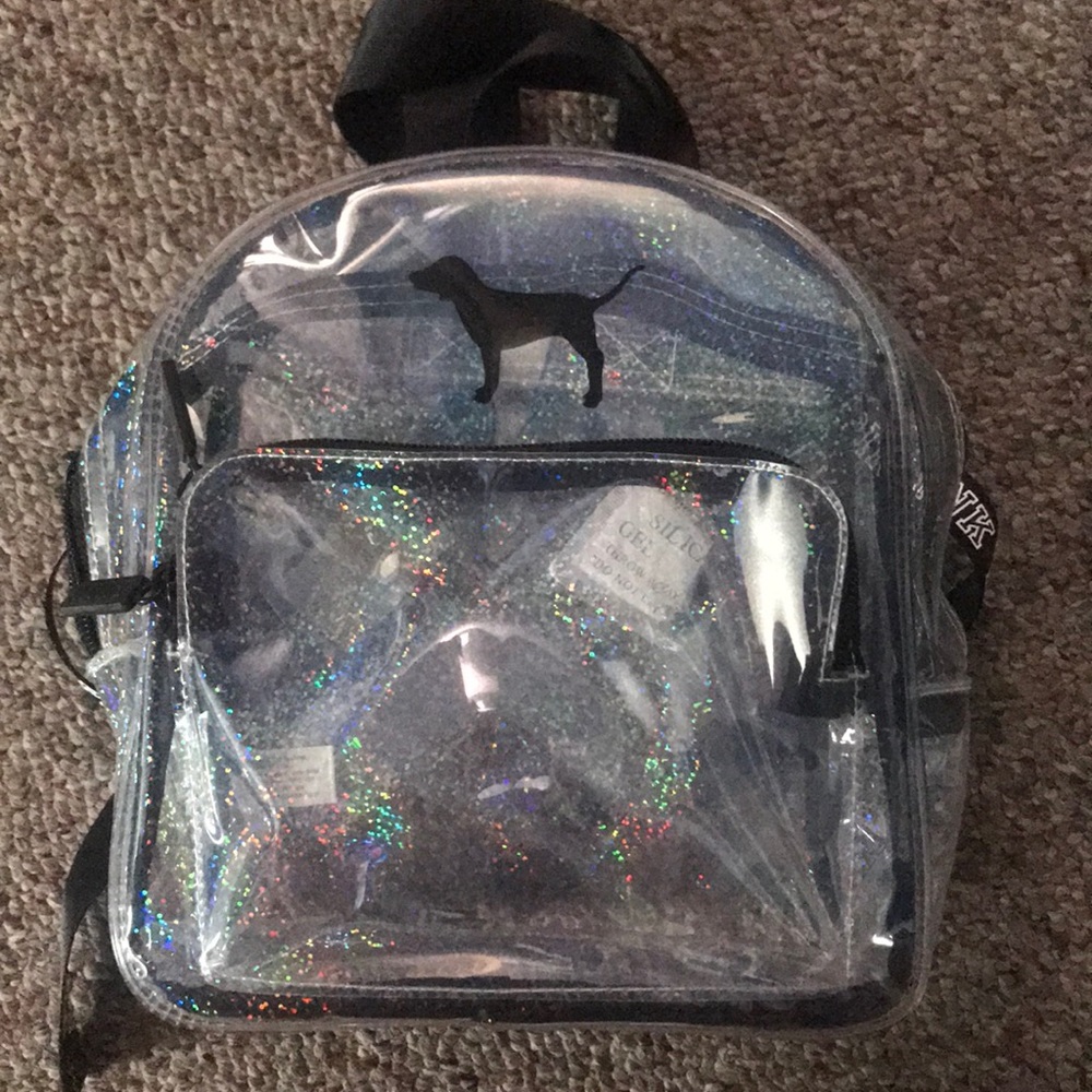 Clear Pink backpack